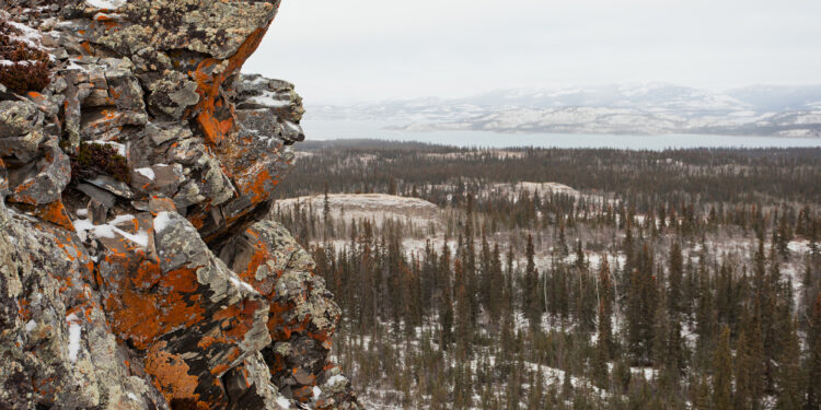 Help improve services in your community