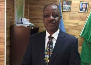 Nigerian diplomat’s family files lawsuit against Boeing over 737 Max crash