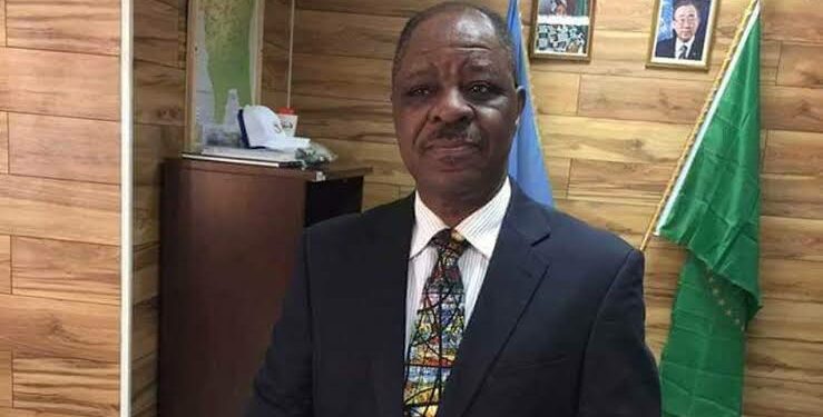Nigerian diplomat’s family files lawsuit against Boeing over 737 Max crash