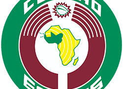 Mali suspended by ECOWAS over second coup in nine months