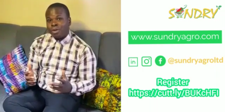 The founder of Sundry Agro Corp talks about how the platform will address the needs of Nigerians in Diaspora