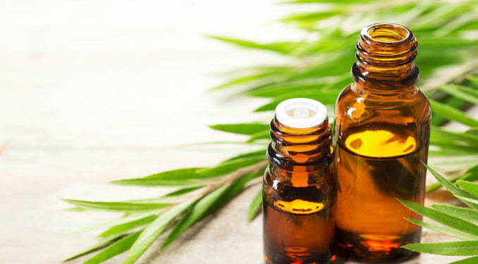 Does Tea Tree Oil Really Prevent Acne? By N.Ugoh