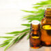 Does Tea Tree Oil Really Prevent Acne? By N.Ugoh