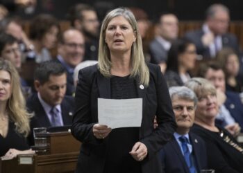 Leona Alleslev officially enters the party’s leadership race