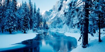 Find micro joys: A fresh way to beat the winter blues