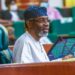 Femi Gbajabiamila seeks debt cancellation for African countries