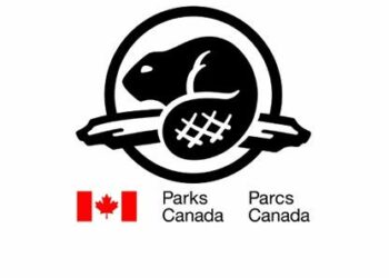 Parks Canada repossesses 45 fossils looted from Burgess Shale, levies $20,000 fine
