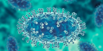 WHO: Monkeypox could be renamed in a bid to minimize racism