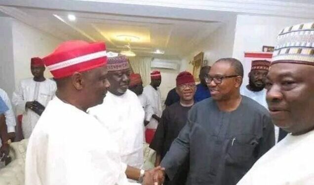 Kwankwaso-Obi merger: Labour Party reveals those that will decide who emerges as Presidential Candidate