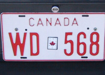 Ottawa police reveal officers will soon commence issuing $110 fines for expired license plates