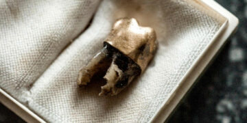 Belgium returns Lumumba’s tooth to his relatives