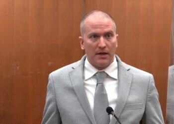 George Floyd: Derek Chauvin sentenced to 20 years in prison, by Stanley Ugagbe