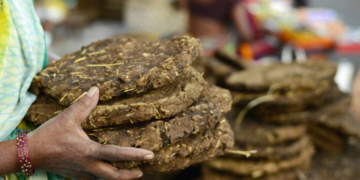 As inflation hits feminine hygiene products, Zimbabwe girls now use cow dung for sanitary pads, by Stanley Ugagbe