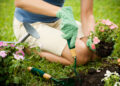 3 ways to keep gardening with back pain