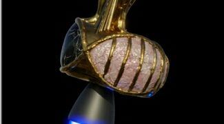 A New Ark with world data & diverse DNA will be sent into space