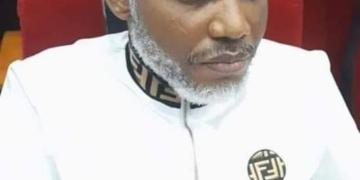 Ohaneze: Nnamdi Kanu must not die in custody