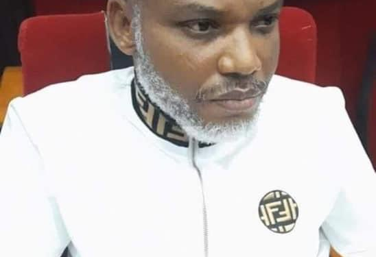 Ohaneze: Nnamdi Kanu must not die in custody