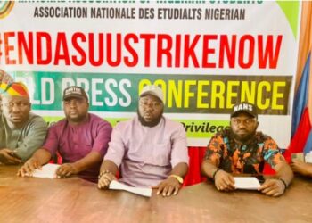 NANS: There will be no political campaign until ASUU strike is called off
