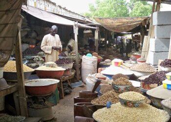 Katsina State Man divorces wife over high cost of living, by Stanley Ugagbe