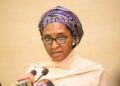 FG moves to borrow N11.03 trillion, by Stanley Ugagbe