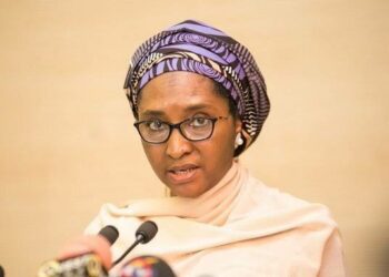FG moves to borrow N11.03 trillion, by Stanley Ugagbe