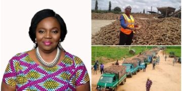 Meet Yemisi Iranloye, Nigerian Queen of Cassava Who Pockets N5 Billion Yearly, By Stanley Ugagbe