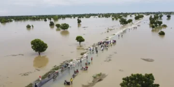 Flood: 500 sent to early grave, millions displaced – FG, by Stanley Ugagbe