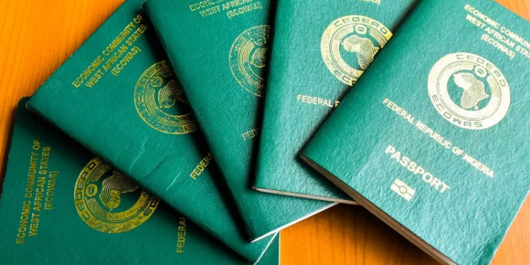 Adeyinka Asekun: Nigerians living in Canada will soon be able to apply for 10-year passport leaflets