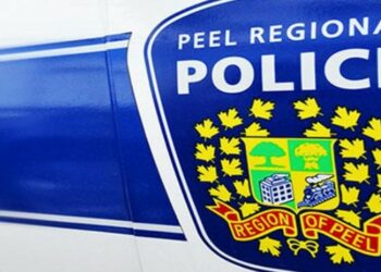 Mississauga and Brampton record an average of 10 assaults per day over the last 30 days