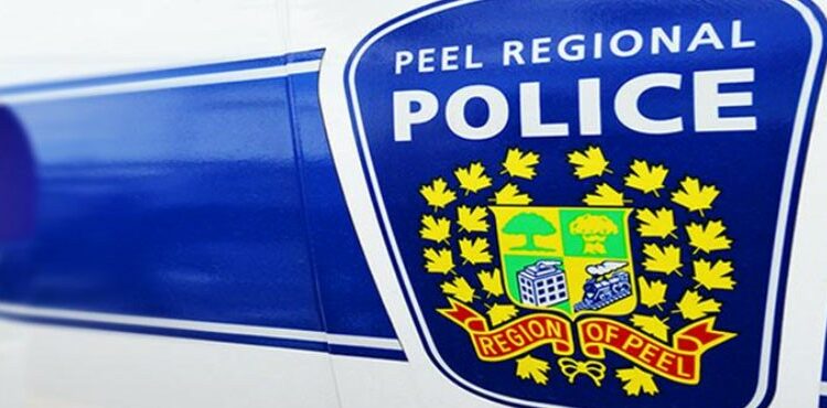 Mississauga and Brampton record an average of 10 assaults per day over the last 30 days