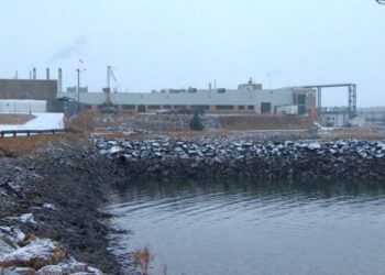 Staff of New Brunswick fish processing plants tested for tuberculosis