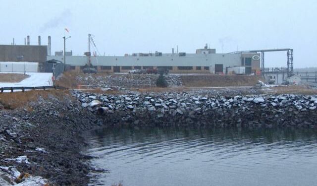 Staff of New Brunswick fish processing plants tested for tuberculosis