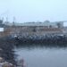 Staff of New Brunswick fish processing plants tested for tuberculosis