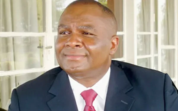 Nnamani sues PDP, Ayu for expelling him from party
