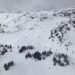 Avalanche in British Columbia claims many lives