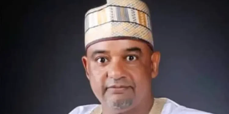 Damagum Replaces Ayu As PDP Chairman