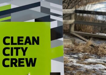 City invites input on Pop-up Dog Parks, Anti-Black Racism Action Plan, and Rollie Miles Recreation Centre 