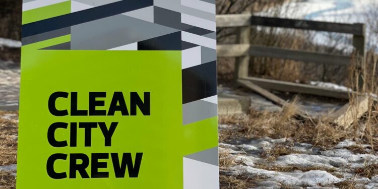 City invites input on Pop-up Dog Parks, Anti-Black Racism Action Plan, and Rollie Miles Recreation Centre 