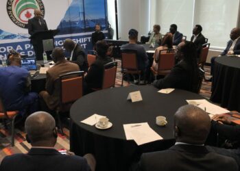 Nigerian-Canadian entrepreneurs hope to establish businesses in Nigeria and other African countries