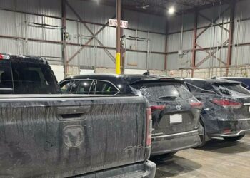 $10M worth of vehicles recovered by Peel police during months-long investigation