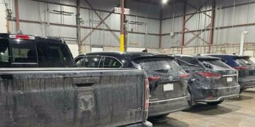 $10M worth of vehicles recovered by Peel police during months-long investigation