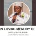 In Loving Memory Of David Agboola Esho (1950-2003)