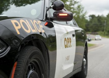 Dangerous offender known to frequent Toronto, Brampton, Milton and Hamilton issued Canada Wide Warrant