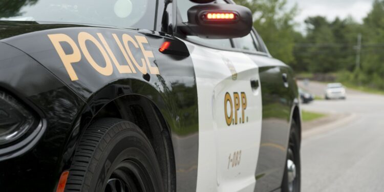 Dangerous offender known to frequent Toronto, Brampton, Milton and Hamilton issued Canada Wide Warrant