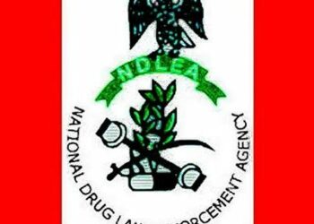 NDLEA intercepts drugs hidden in imported car