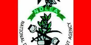 NDLEA intercepts drugs hidden in imported car