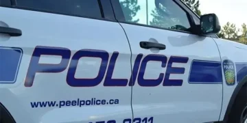 Recently freed high-risk sex offender rearrested in Mississauga
