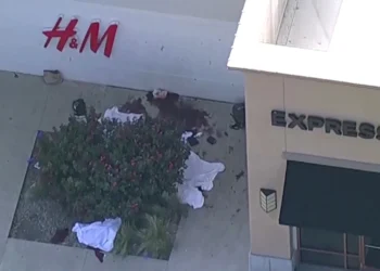 8 killed, 7 injured in Texas mall shooting