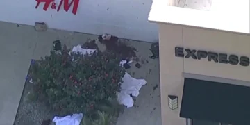 8 killed, 7 injured in Texas mall shooting