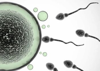 Male masturbation increases chances of impregnating women – Study